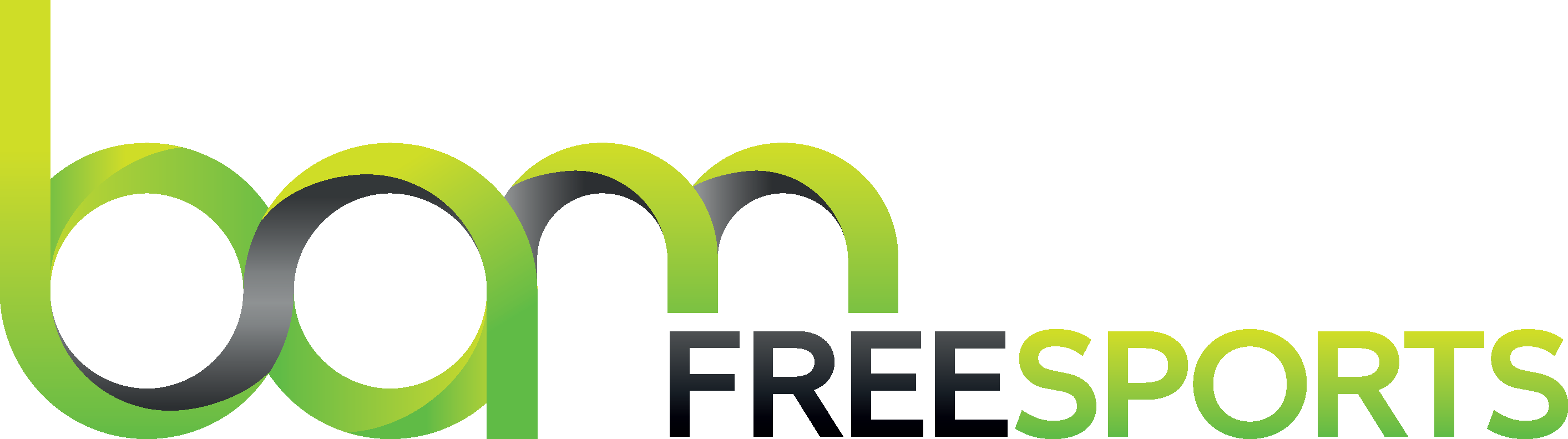 Logo Bam Freesports png